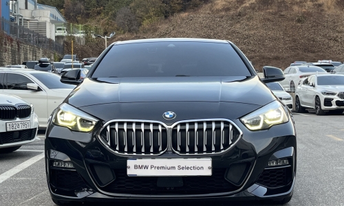 BMW 2 series Gran Coupe (F44) 220i M Sport