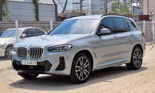 BMW X3 (G01) xDrive M30e Sport