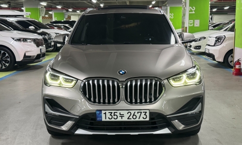 BMW X1 (F48) xDrive 18d xLine