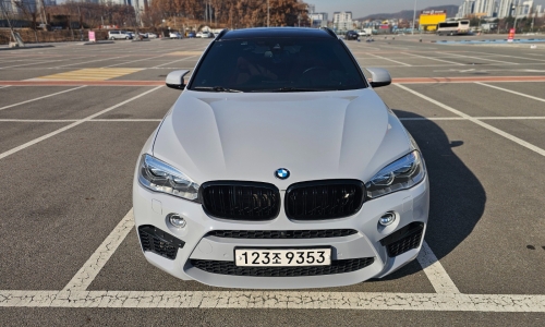 BMW X69M (F16)
