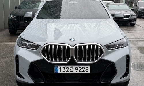 BMW X6 (G06) xDrive M30d Sport